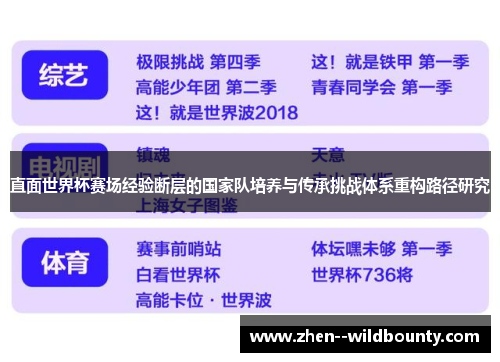 直面世界杯赛场经验断层的国家队培养与传承挑战体系重构路径研究